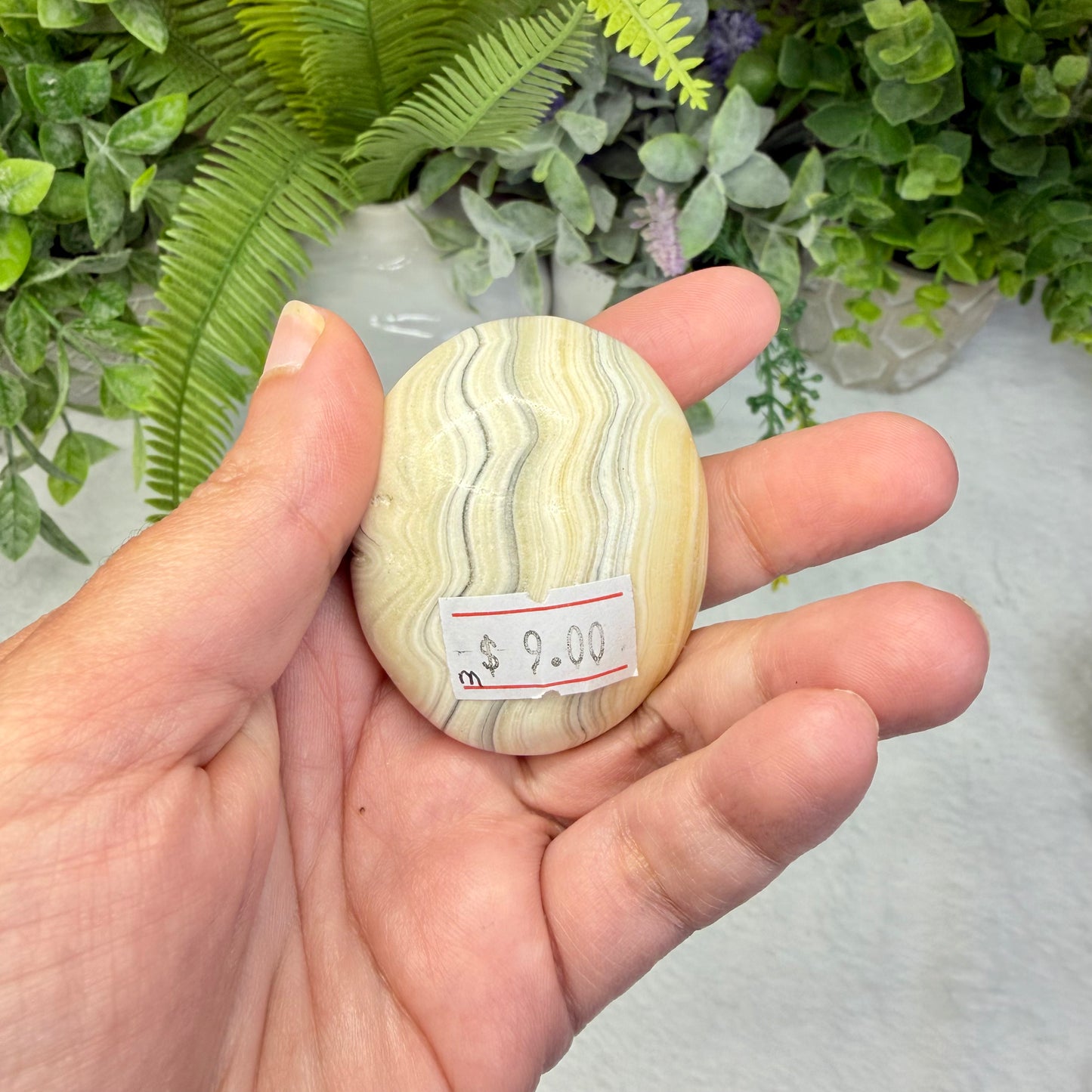 Zebra Jasper Palmstone - M