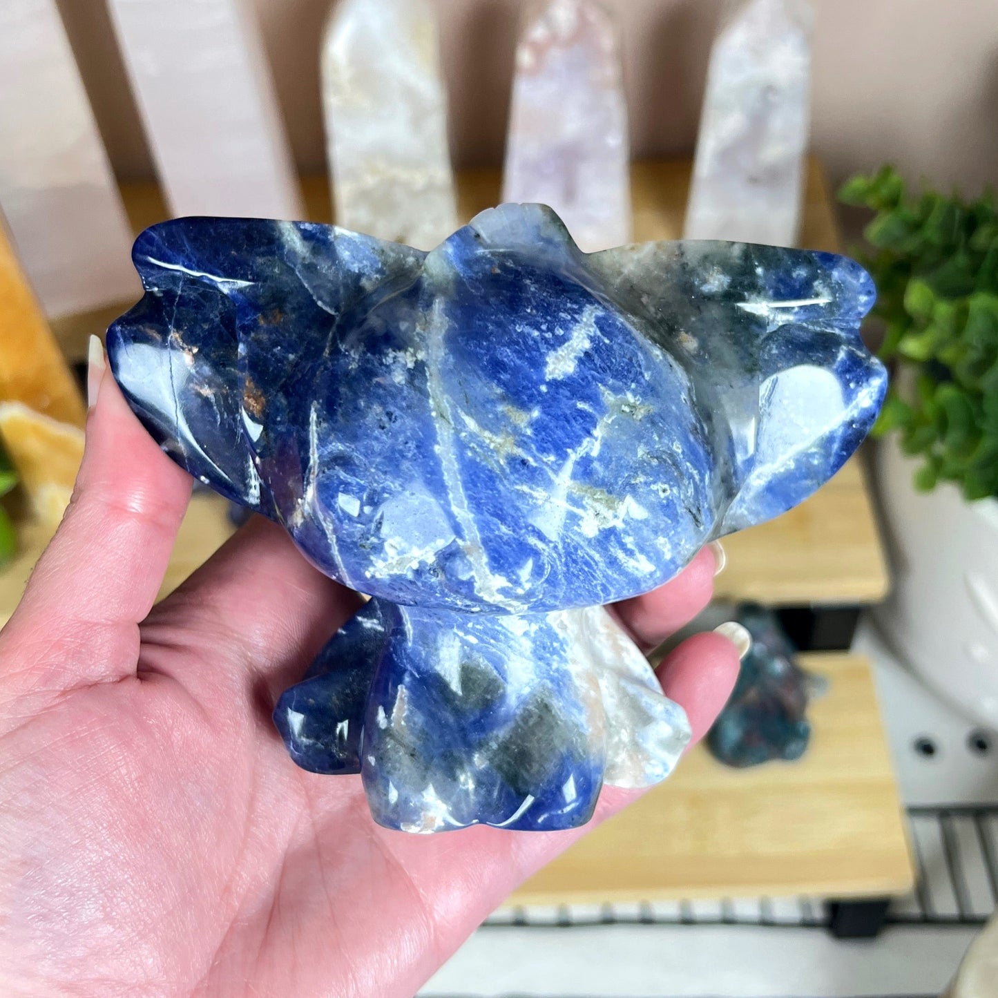 Stitch Sodalite Carving