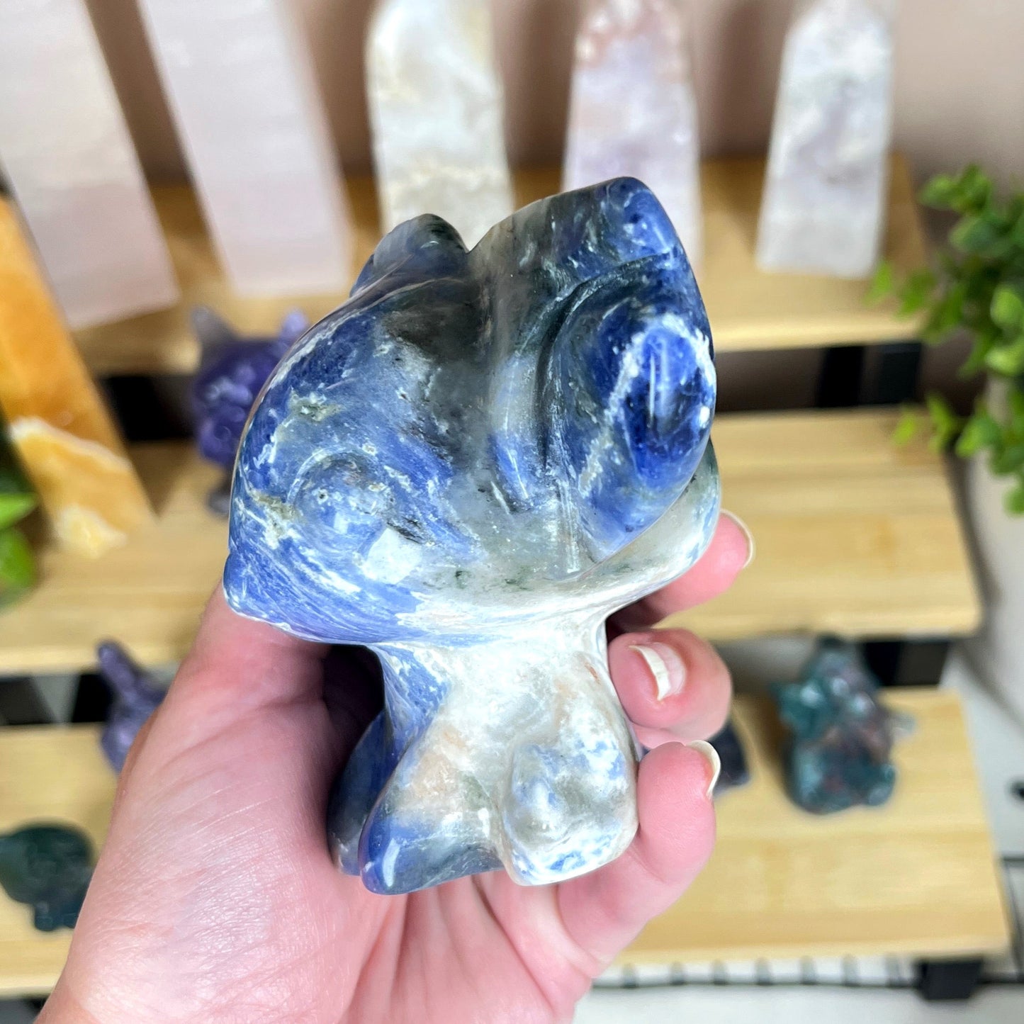 Stitch Sodalite Carving