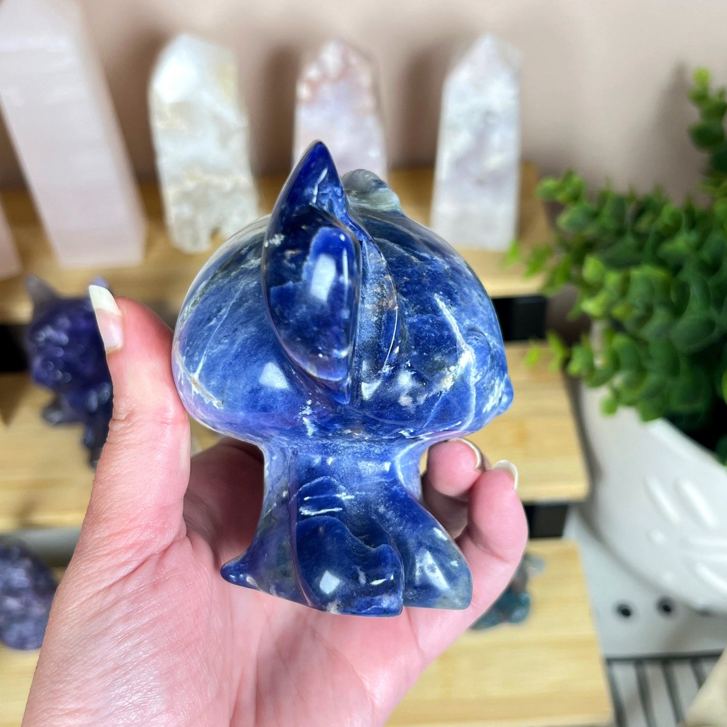 Stitch Sodalite Carving