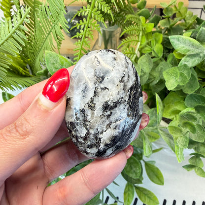 Rainbow Moonstone Palmstones (Choose Your Own)