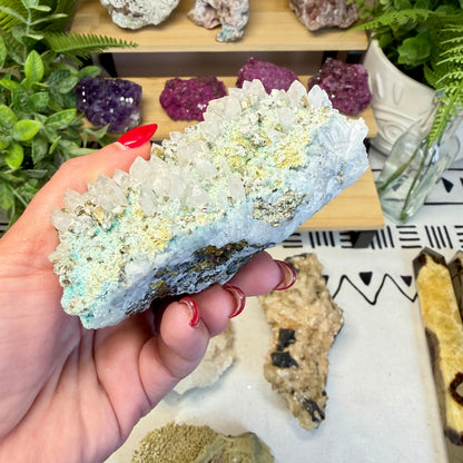 Phoenix Stone with Marcasite in Quartz Specimen