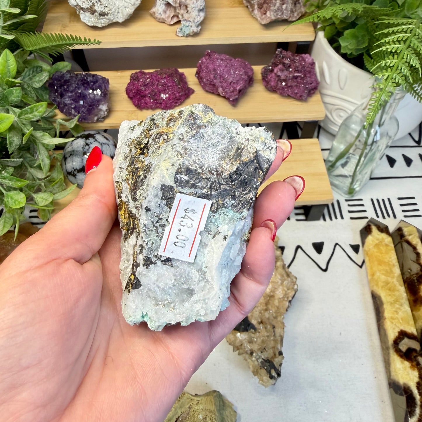 Phoenix Stone with Marcasite in Quartz Specimen