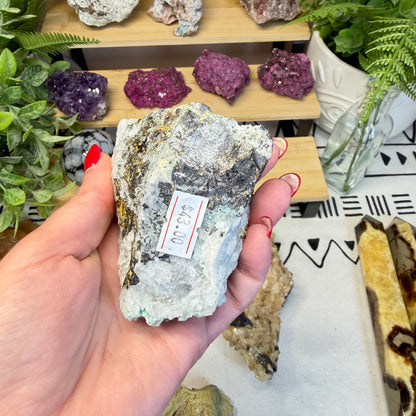Phoenix Stone with Marcasite in Quartz Specimen