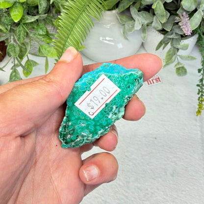 Chrysocolla Specimen - C