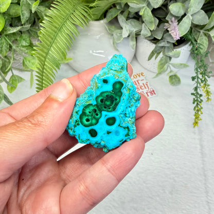 Chrysocolla Specimen - D