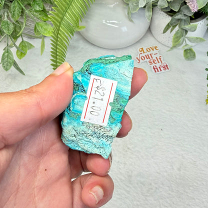 Chrysocolla Specimen - F
