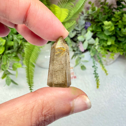 Golden Rutile Mini Point (Choose Your Own)