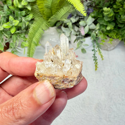 Clear Quartz Mini Cluster (Choose Your Own)