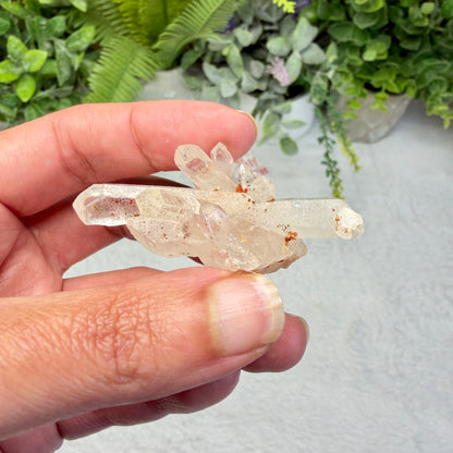 Clear Quartz Mini Cluster (Choose Your Own)