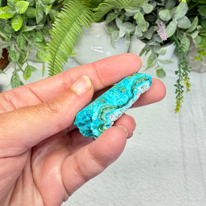 Chrysocolla Specimen - D
