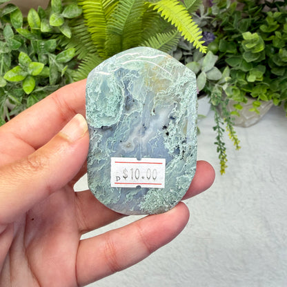 Moss Agate Palmstone - D