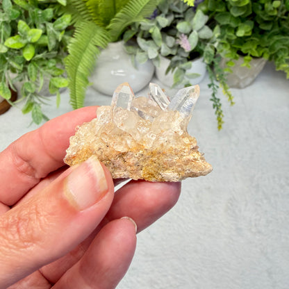 Clear Quartz Mini Cluster (Choose Your Own)