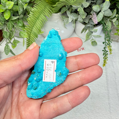 Chrysocolla Specimen - B