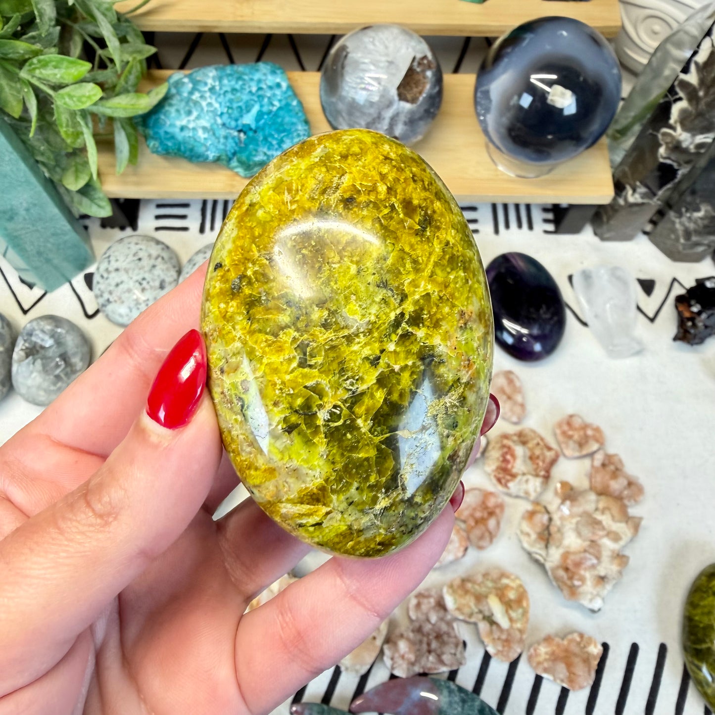 Green Opal Palmstone (Choose your own)