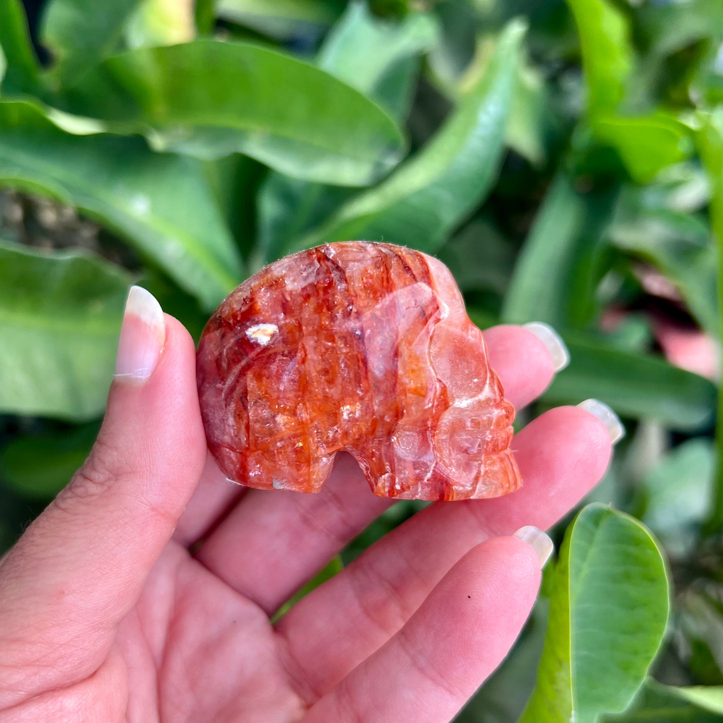 Fire Quartz Small Skull - A