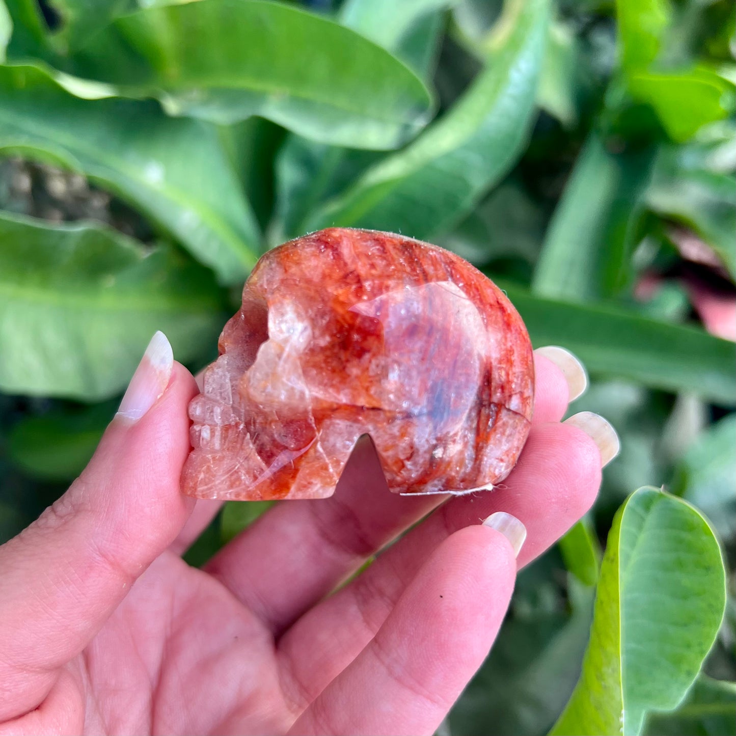 Fire Quartz Small Skull - A