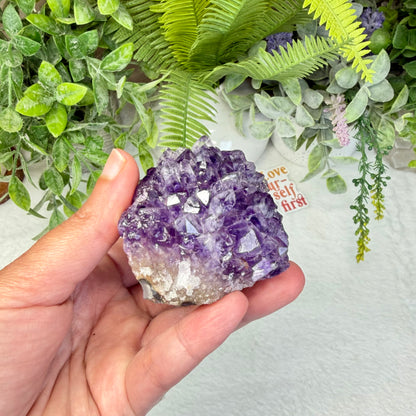 Amethyst Cluster