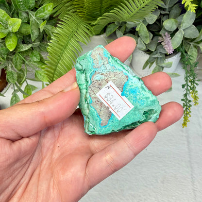 Chrysocolla Specimen - A