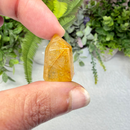 Golden Rutile Mini Point (Choose Your Own)
