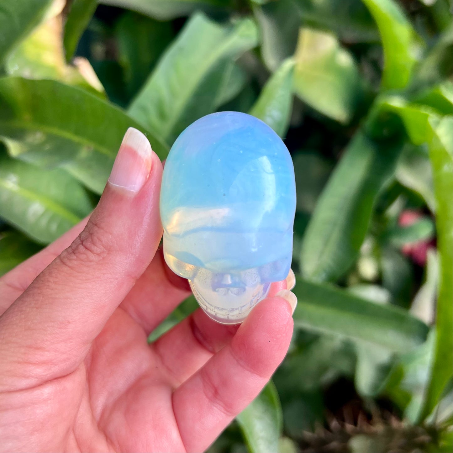 Opalite Small Skull - A