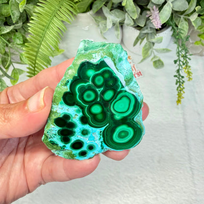 Chrysocolla Specimen - A