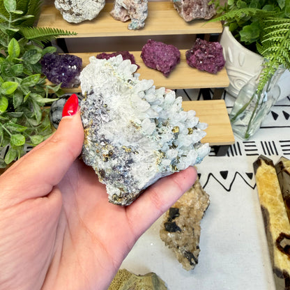 Phoenix Stone with Marcasite in Quartz Specimen