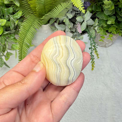 Zebra Jasper Palmstone - M