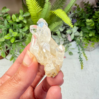Clear Quartz Mini Cluster (Choose Your Own)