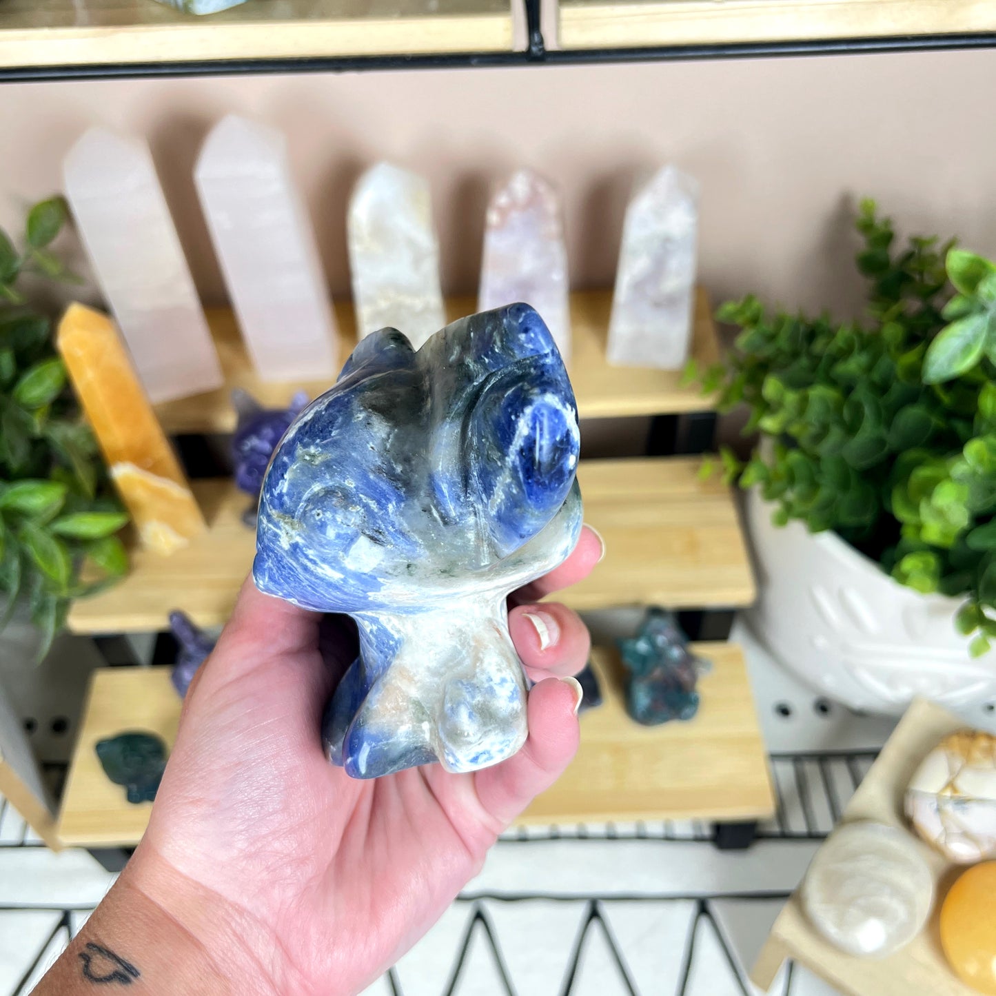 Stitch Sodalite Carving
