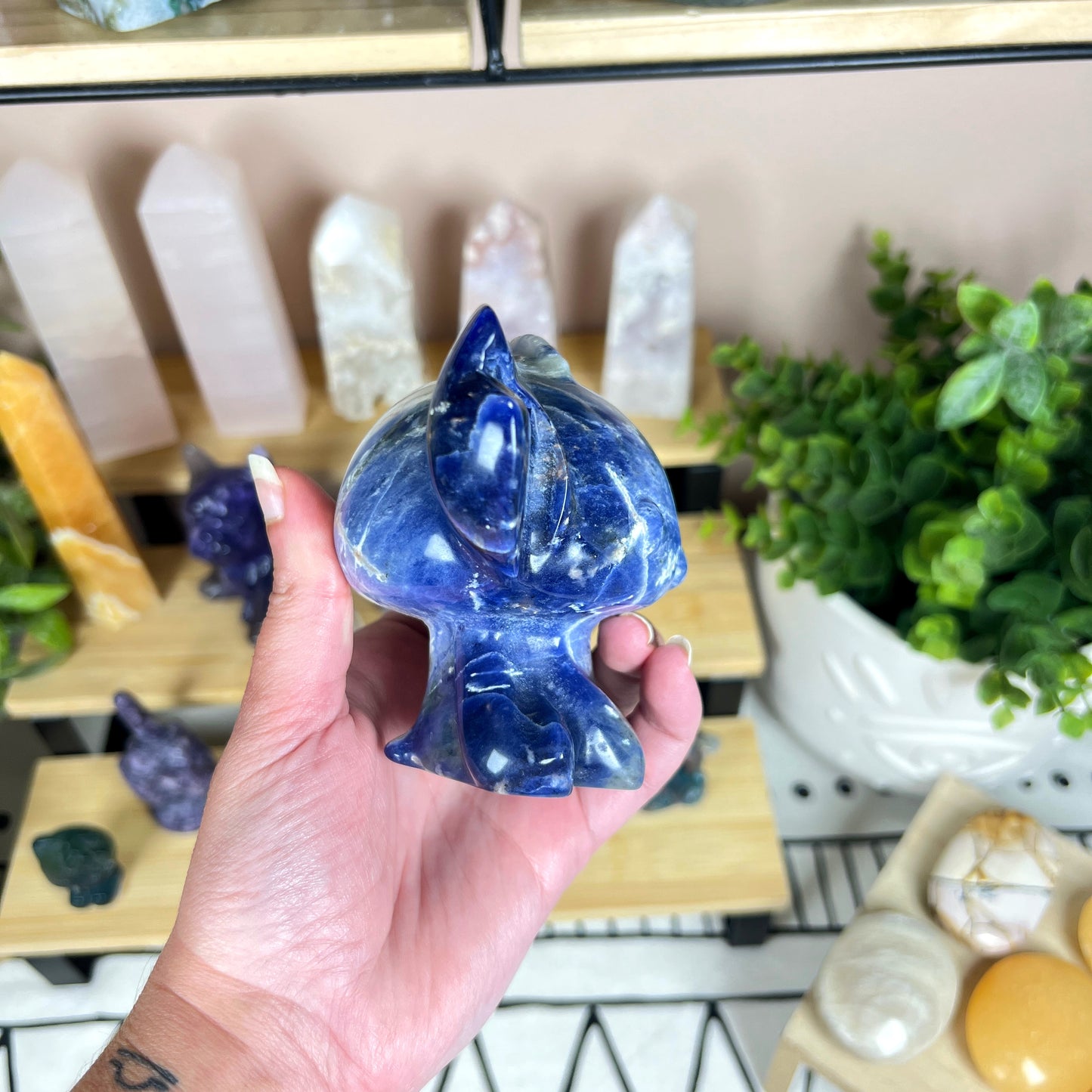 Stitch Sodalite Carving