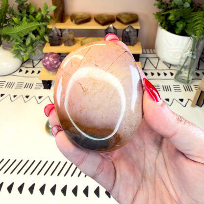 Polychrome Jasper Palmstone - B