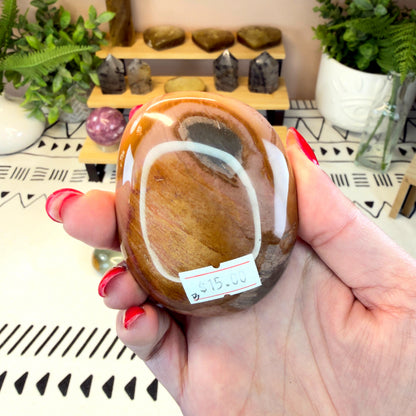 Polychrome Jasper Palmstone - B