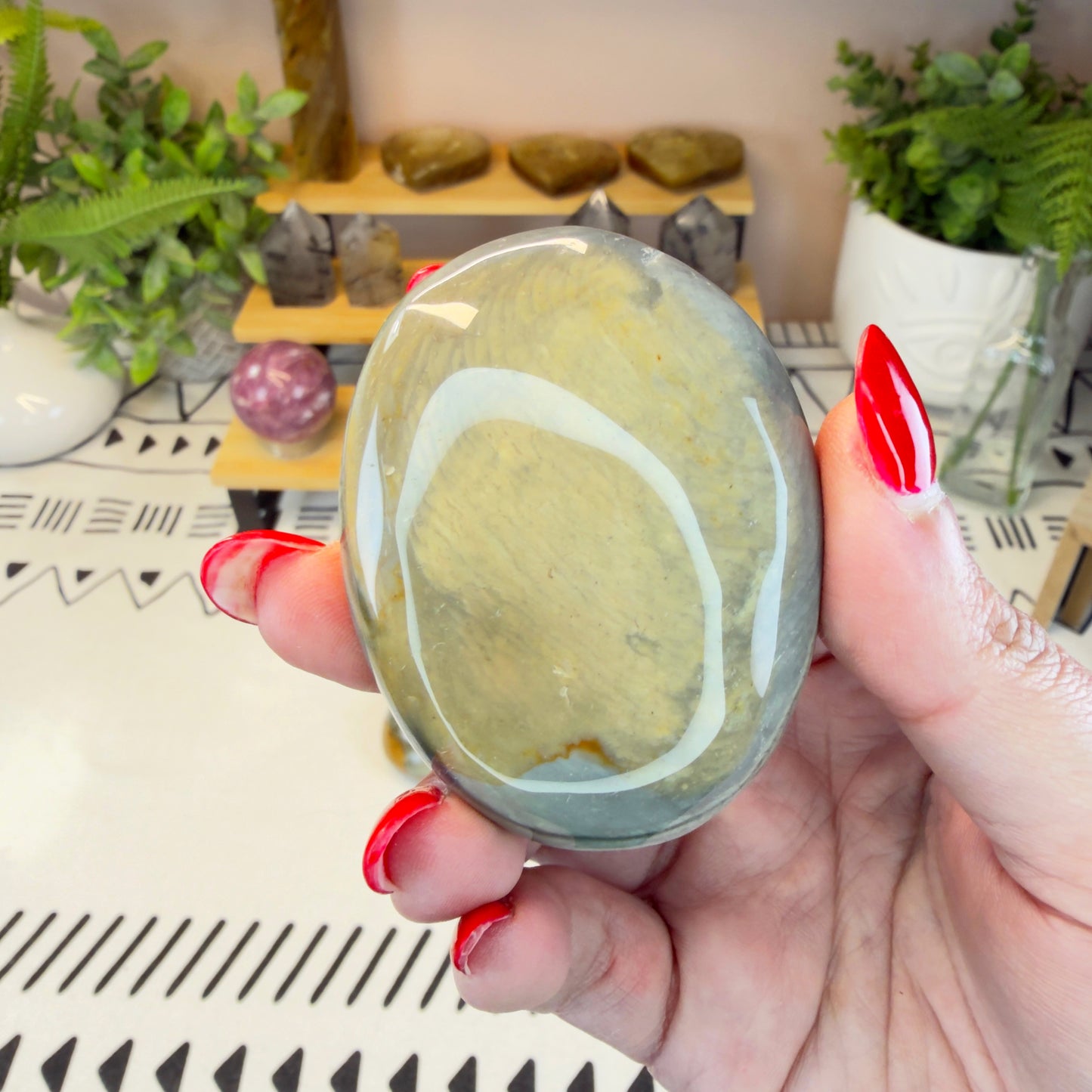Polychrome Jasper Palmstone - E