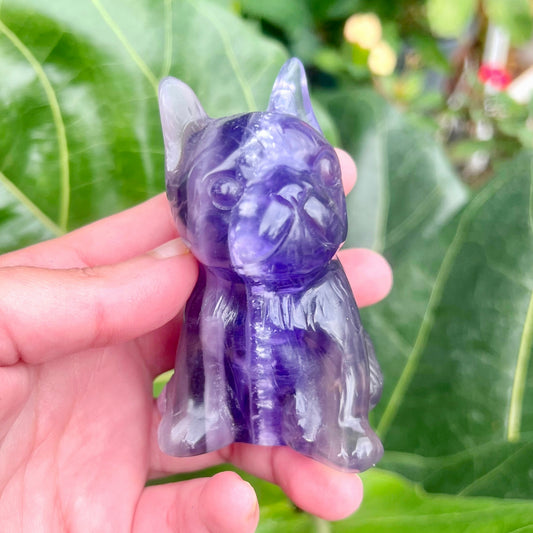 Purple Fluorite French Bull Dog