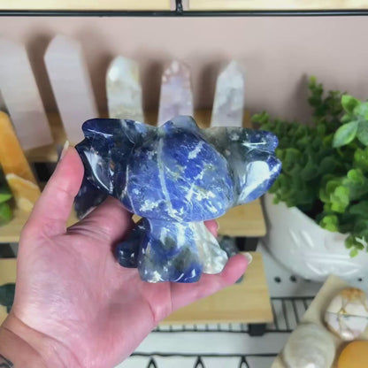 Stitch Sodalite Carving