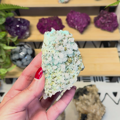 Phoenix Stone with Marcasite in Quartz Specimen